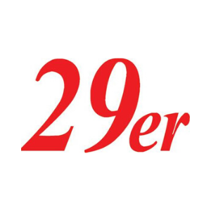 29er Class Logo
