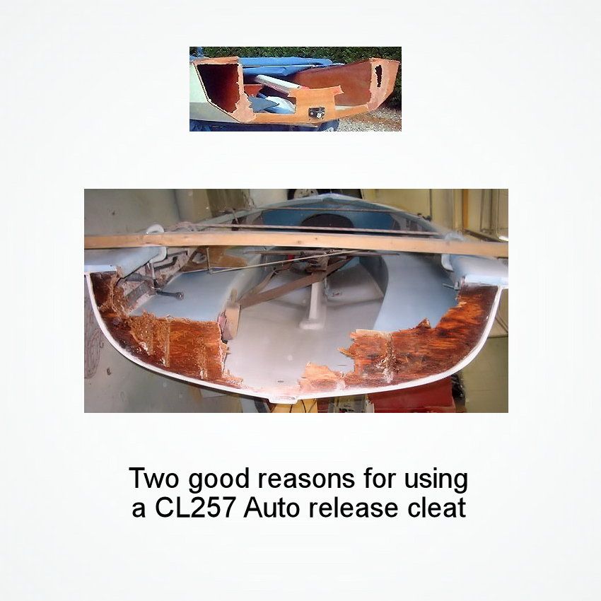 Pico, Tiller, Rudder blade downhaul- CL257 Auto-Release Racing Mini